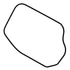 A18-45220-000 by FREIGHTLINER - Door Seal