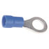 GRO842303 by FREIGHTLINER - Multi-Purpose Wiring Terminal - Ring Terminal, Blue, 16-14 ga.