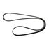 GT 4080695DF by FREIGHTLINER - Serpentine Belt - Micro-V 8 Rib 69.50 Inch Length