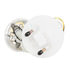 FG0975 by DELPHI - Fuel Pump Module Assembly