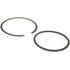 FA10022 by DELPHI - Fuel Tank Lock Ring