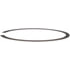 FA10022 by DELPHI - Fuel Tank Lock Ring