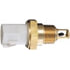 TS10557 by DELPHI - Air Charge Temperature Sensor