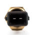 Delphi TS10010