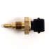 Delphi TS10010