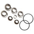 R10RVLT by MOTIVE GEAR - Motive Gear - Differential Bearing Kit - Timken