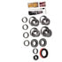 R8.2RIFSLT by MOTIVE GEAR - Motive Gear - Differential Bearing Kit - Timken