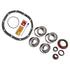 RA310R by MOTIVE GEAR - Motive Gear - Differential Bearing Kit - Koyo