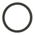 1304053004 by RICHMOND GEAR - Richmond - Manual Transmission Countershaft Bearing Washer