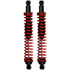 43048 by GABRIEL - Variable-rate Rear Coil Springs