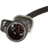 OS5038 by SPECTRA PREMIUM - Oxygen Sensor