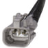 OS5318 by SPECTRA PREMIUM - Oxygen Sensor