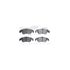 7512-73374 by DYNAMIC FRICTION COMPANY - Rotors-Drilled & Slotted-Silver w/ 5000 Advanced Brake Pads Incl Hdw