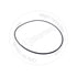 TX24001899103 by BLUMAQ - Seal O-ring