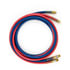 BR455144SET by TRAMEC SLOAN - 3/8 X 12' BLUE AND RED HOSE WITH 1/2 FITTINGS SET