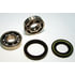 BK5 by SKF - Wheel Bearing Kit