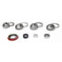 SDK325-A by SKF - Differential Rebuild Kit