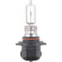 9005C1 by PHILLIPS INDUSTRIES - Headlight Bulb - 12V, 65 Watts, Clear, Halogen, High Beam