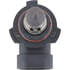 9006C1 by PHILLIPS INDUSTRIES - Headlight Bulb - 12V, 55 Watts, Clear, Halogen, Low Beam