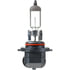 9040B1 by PHILLIPS INDUSTRIES - Fog Light Bulb - 12V, 40 Watts, Clear, Halogen, 2 Blade Pin Terminal Type