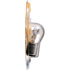 P21/4WB2 by PHILLIPS INDUSTRIES - Tail Light Bulb - 12V, 21/4 Watts, Standard, Clear, Twist Type