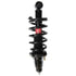 181101L by MONROE - RoadMatic Suspension Strut and Coil Spring Assembly