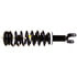181111 by MONROE - RoadMatic Suspension Strut and Coil Spring Assembly