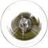 1076CP by PHILLIPS INDUSTRIES - Tail Light Bulb - 12.8V, Standard, Clear, Twist Type