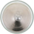 12844B2 by PHILLIPS INDUSTRIES - Multi-Purpose Light Bulb - 12V, 5 Watts, Standard, Clear, Incandescent