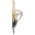 3155B2 by PHILLIPS INDUSTRIES - Back Up Light Bulb - 12.8V, 20.48 Watts, Clear, Push Type