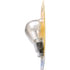 3155B2 by PHILLIPS INDUSTRIES - Back Up Light Bulb - 12.8V, 20.48 Watts, Clear, Push Type