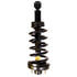 90023C2 by MONROE - Air Spring to Coil Spring Conversion Kit