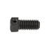Dana Spicer 449-D Power Take Off (PTO) Yoke Set Screw Power Take Off (PTO) Yoke Set Screw - Square Type, 0.75 in. Length,