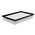Luber-Finer AF4066 Engine Air Filter Luberfiner AF4066 Panel Air Filter