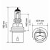 9004 100/80WSB by HELLA - BULB 9004/HB1 12V 100/80W  SB        8GJ