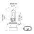 9005XS by HELLA - HELLA 9005XS Standard Series Halogen Light Bulb