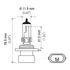 9006XS by HELLA - HELLA 9006XS Standard Series Halogen Light Bulb