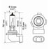 H10SB by HELLA - HELLA H10SB Standard Series Halogen Light Bulb