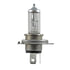 HELLA H4P50 Multi-Purpose Light Bulb HELLA H4P50 Performance Series Halogen Light Bulb
