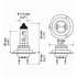 H7 100WTB by HELLA - HELLA H7 100WTB High Wattage Series Halogen Light Bulb