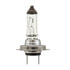 H7 70W by HELLA - HELLA H7 70W High Wattage Series Halogen Light Bulb