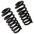 81765 by MOOG - Coil Spring Set