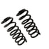 81771 by MOOG - Coil Spring Set