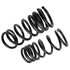 CC661 by MOOG - Coil Spring Set