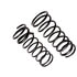 CC867 by MOOG - MOOG CC867 Coil Spring Set