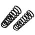 5376 by MOOG - Coil Spring Set