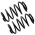 60232 by MOOG - Coil Spring Set