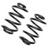 6101 by MOOG - MOOG 6101 Coil Spring Set