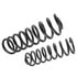 6187 by MOOG - Coil Spring Set