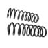 6187 by MOOG - Coil Spring Set